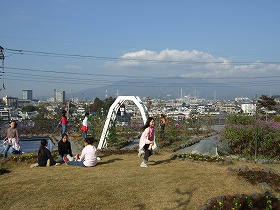 Pocket park