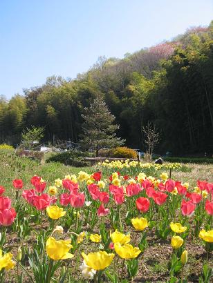 �y�摜�z��n�O���[�o���K�[�f��