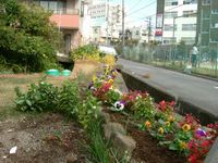 鏡池ミニ公園の詳細へのリンク 【画像】鏡池ミニ公園:詳細へのリンク