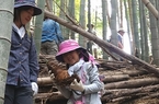 【参加者募集】4/29 開催「春の味覚・竹の子掘り体験」