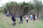 【参加者募集】2/22～・全3回開催「松毛川千年の森づくりワンデイチャレンジ」