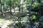 【参加者募集】8/29開催「源兵衛川環境再生ワンデイチャレンジ」