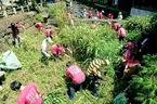 【参加者募集】8/26開催「源兵衛川環境再生ワンデイチャレンジ」