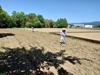 【参加者募集】10/31開催「松毛川千年の森づくり」